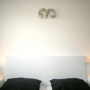 A-partments Cologne